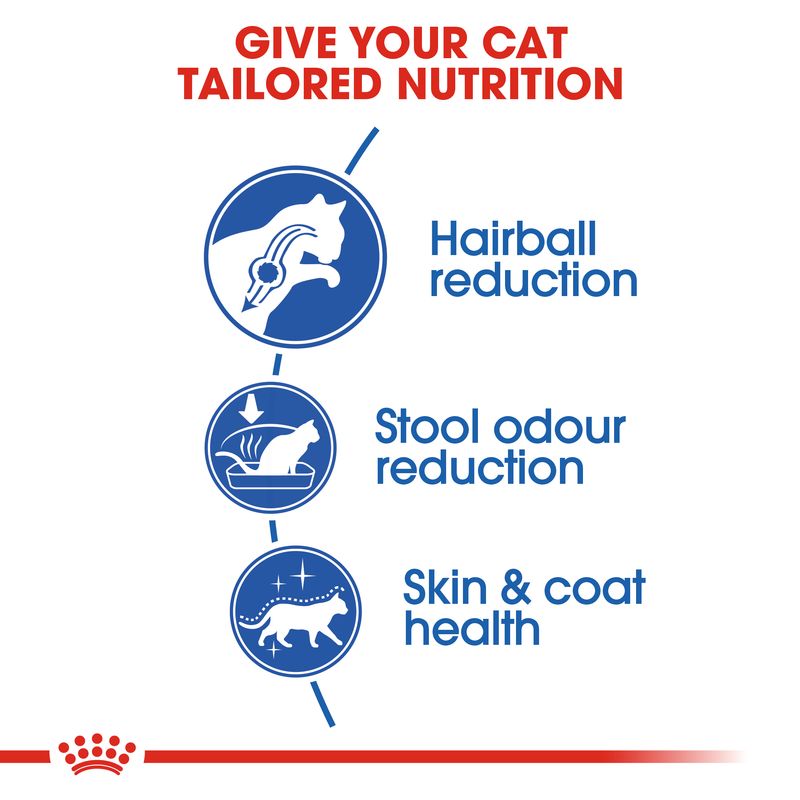 Royal Canin Indoor Long Hair || Royal Canin || view 3