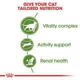 Royal Canin Outdoor 7+ || Royal Canin || view 6