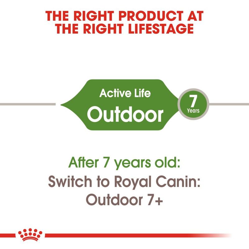 Royal Canin Outdoor Cat || Royal Canin || view 7