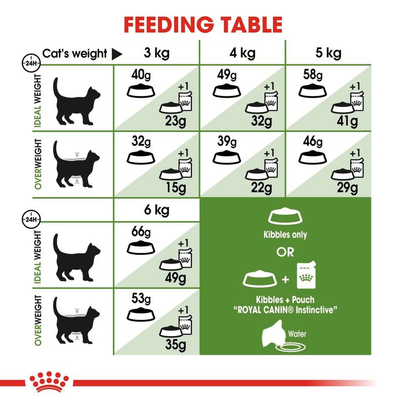 Royal Canin Outdoor Cat || Royal Canin || view 9