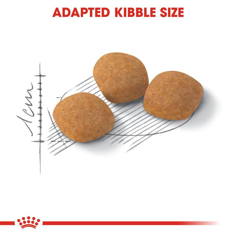 Royal Canin Protein Exigent || Royal Canin || view 4