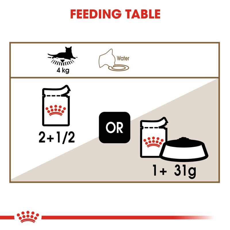 Royal Canin Ageing 12+ in Gravy || undefined || view 6