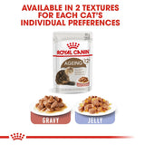 Royal Canin Ageing 12+ in Gravy || undefined || view 5