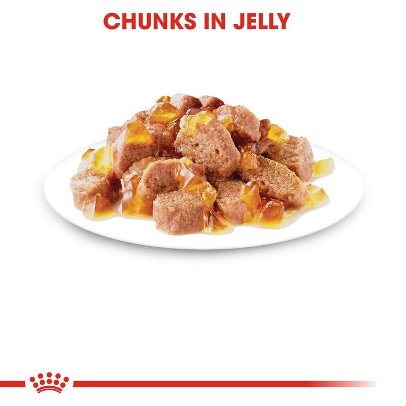 Royal Canin Ageing 12+ in Jelly || undefined || view 3