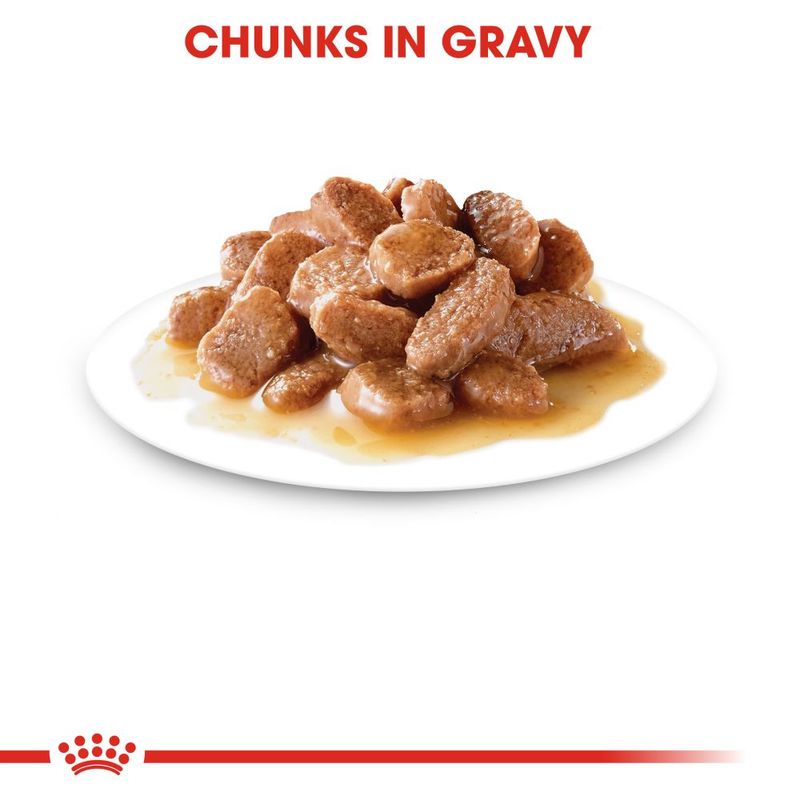 Royal Canin Instinctive 7+ in Gravy || undefined || view 3