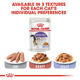 Royal Canin Sterilised in Jelly || undefined || view 4