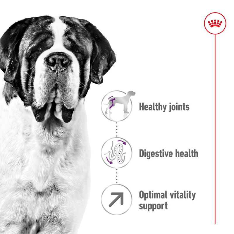 Royal Canin Giant Adult || Royal Canin Size || view 4