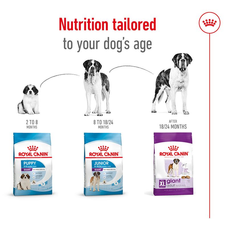 Royal Canin Giant Adult || Royal Canin Size || view 7