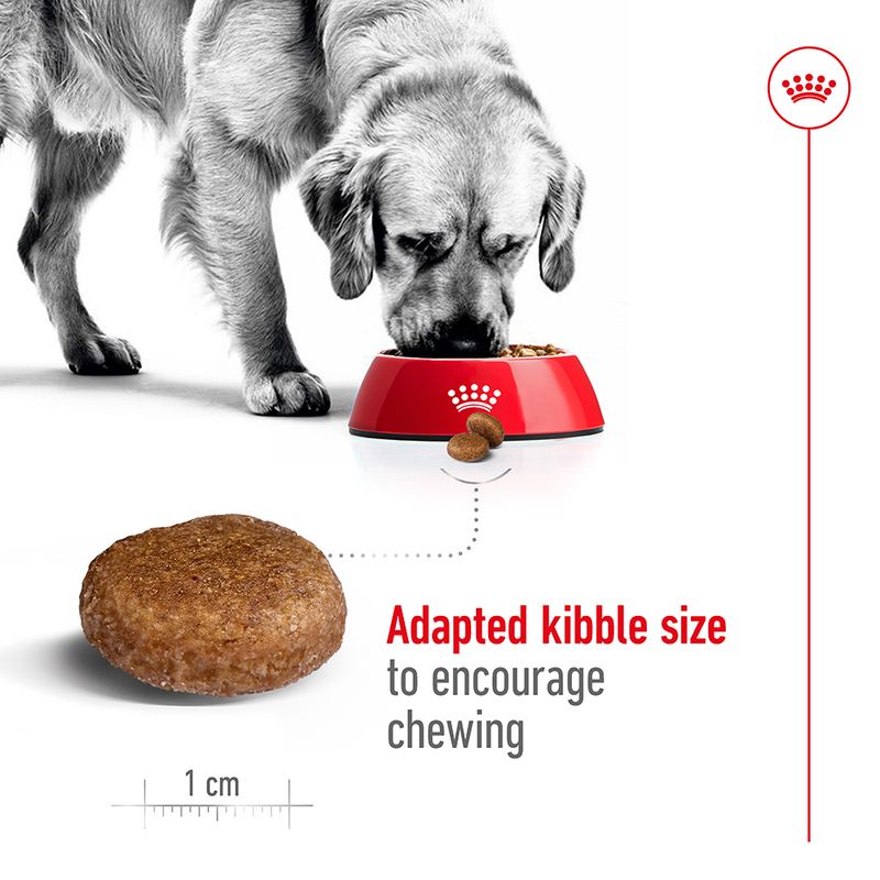 Royal Canin Maxi Adult 5+ || Royal Canin Size || view 5