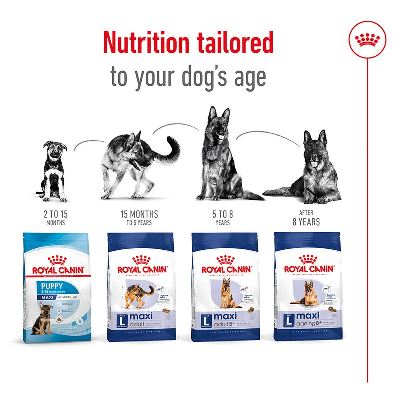 Royal Canin Maxi Adult 5+ || Royal Canin Size || view 6