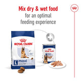 Royal Canin Maxi Adult 5+ || Royal Canin Size || view 8