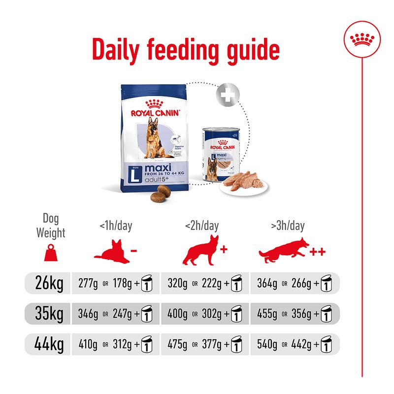 Royal Canin Maxi Adult 5+ || Royal Canin Size || view 10