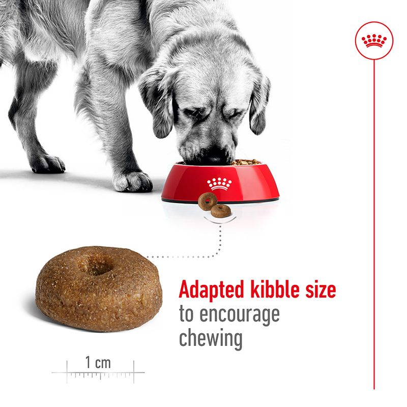 Royal Canin Maxi Ageing 8+ || Royal Canin Size || view 5