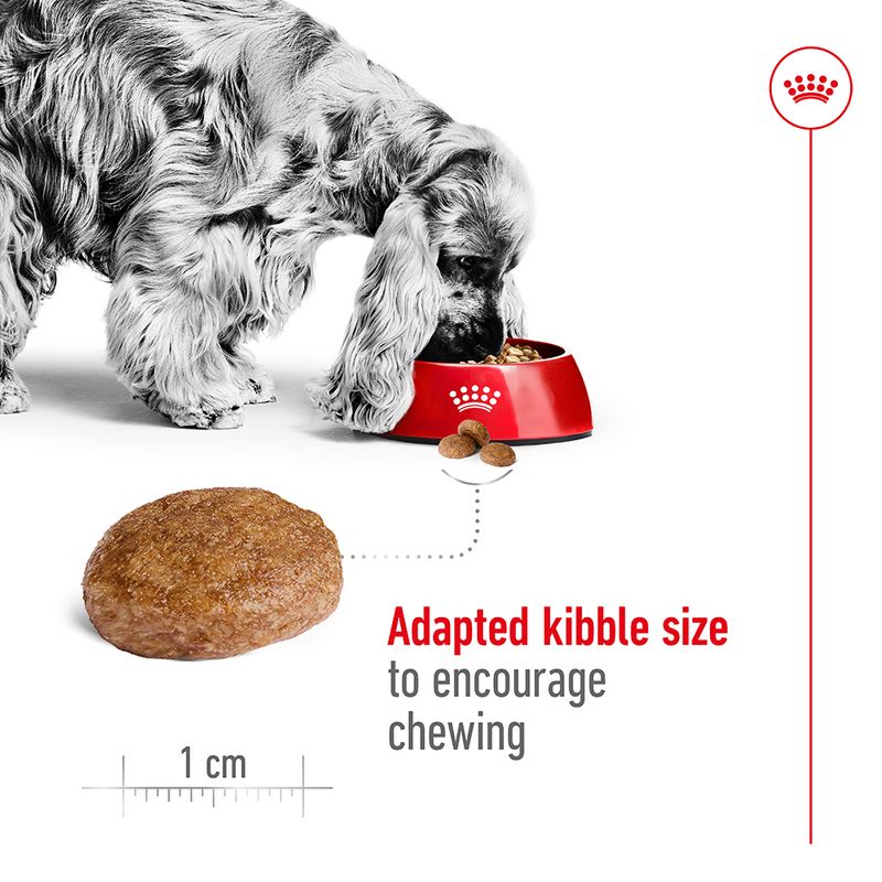 Royal Canin Medium Adult 7+ || Royal Canin Size || view 5