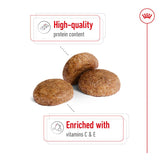 Royal Canin Medium Adult 7+ || Royal Canin Size || view 4