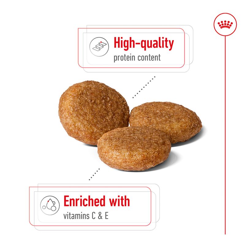 Royal Canin Medium Adult || Royal Canin Size || view 4