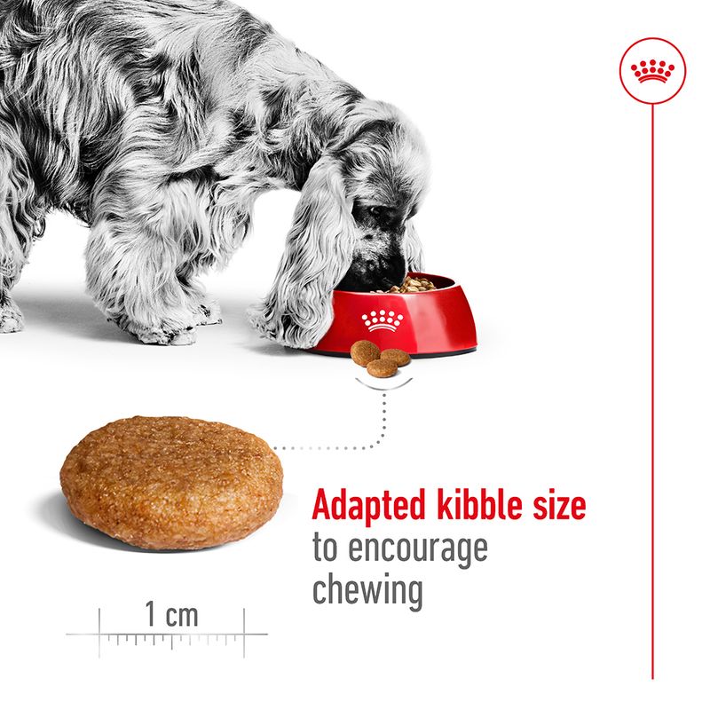 Royal Canin Medium Adult || Royal Canin Size || view 5