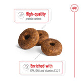 Royal Canin Medium Ageing 10+ || Royal Canin Size || view 4