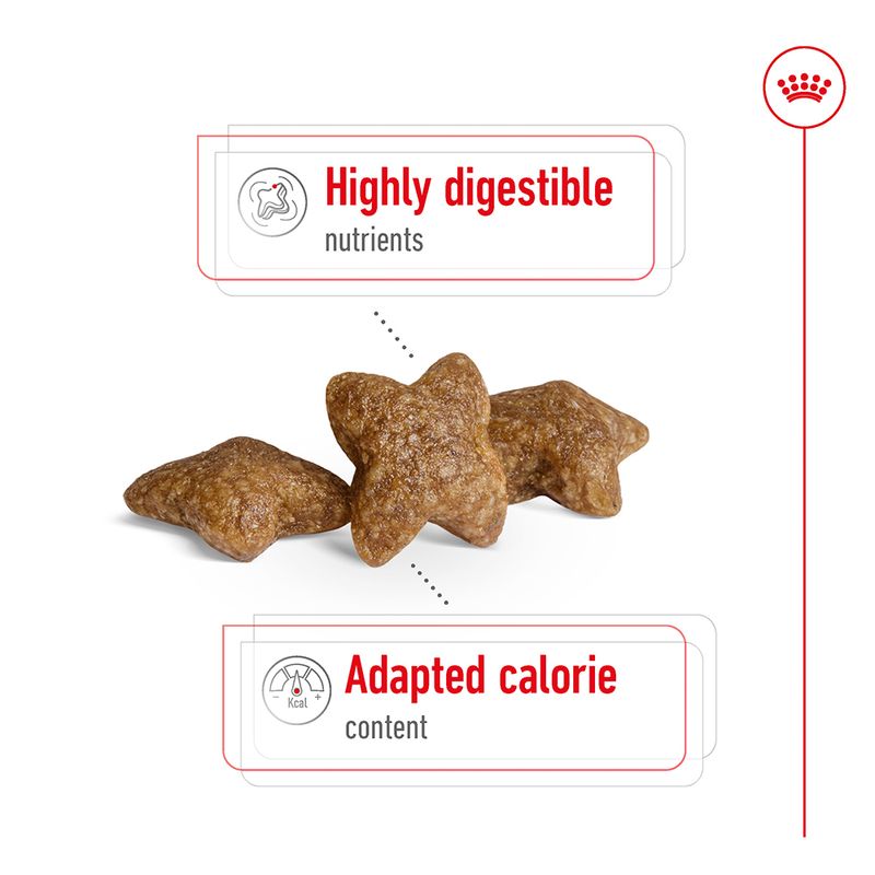 Royal Canin Mini Adult || Royal Canin Size || view 5