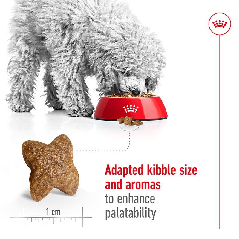 Royal Canin Mini Adult || Royal Canin Size || view 6