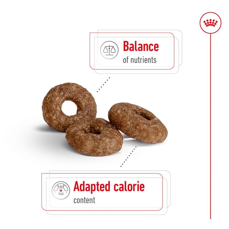 Royal Canin Mini Ageing 12+ || Royal Canin Size || view 4