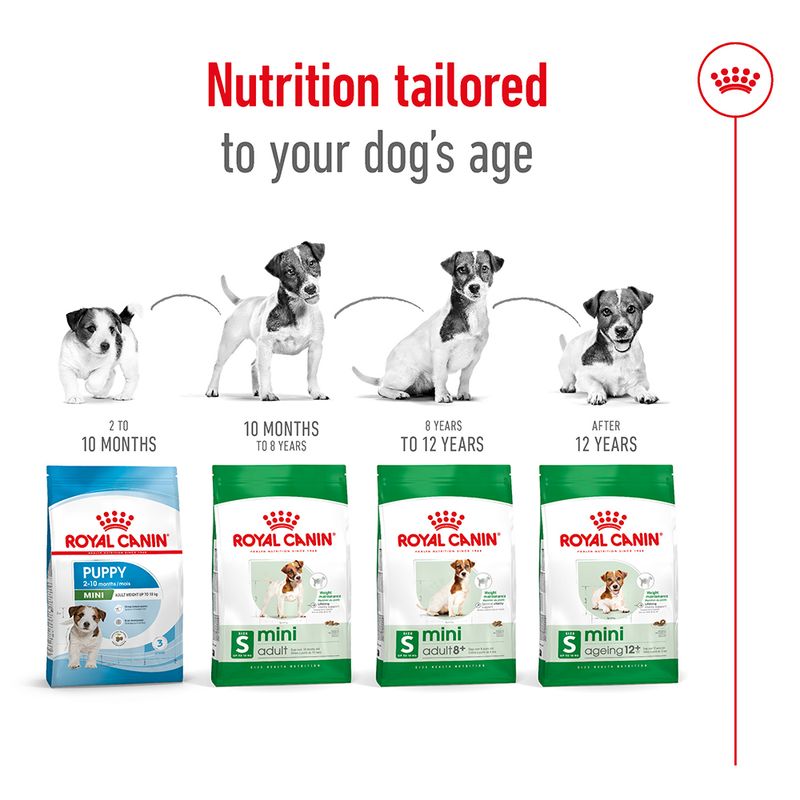 Royal Canin Mini Ageing 12+ || Royal Canin Size || view 6