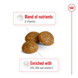 Royal Canin X-Small Adult 8+ || Royal Canin Size || view 4