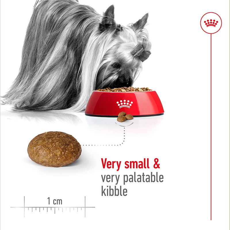 Royal Canin X-Small Adult 8+ || Royal Canin Size || view 5