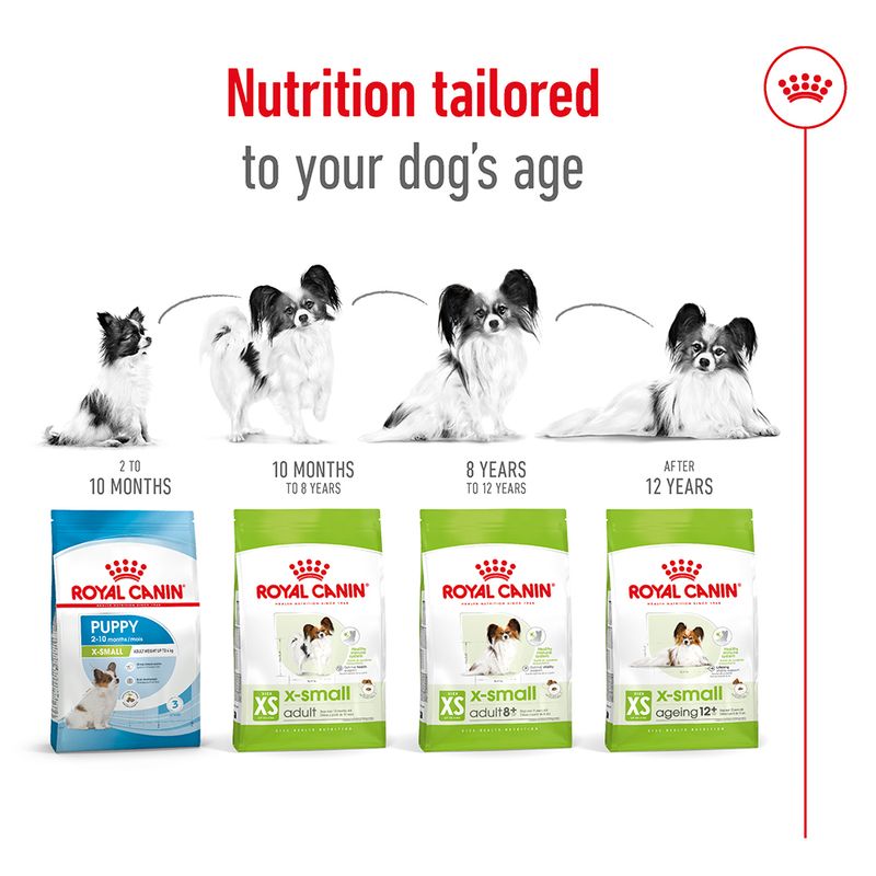 Royal Canin X-Small Adult 8+ || Royal Canin Size || view 6