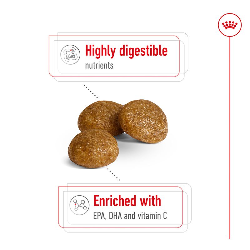 Royal Canin X-Small Adult || Royal Canin Size || view 4