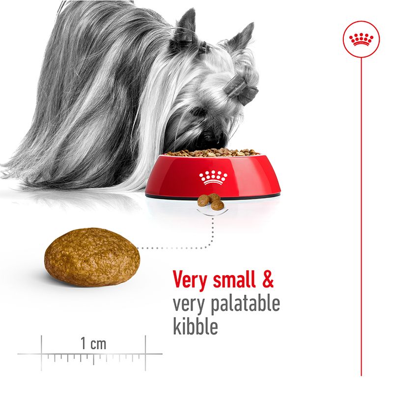 Royal Canin X-Small Adult || Royal Canin Size || view 5