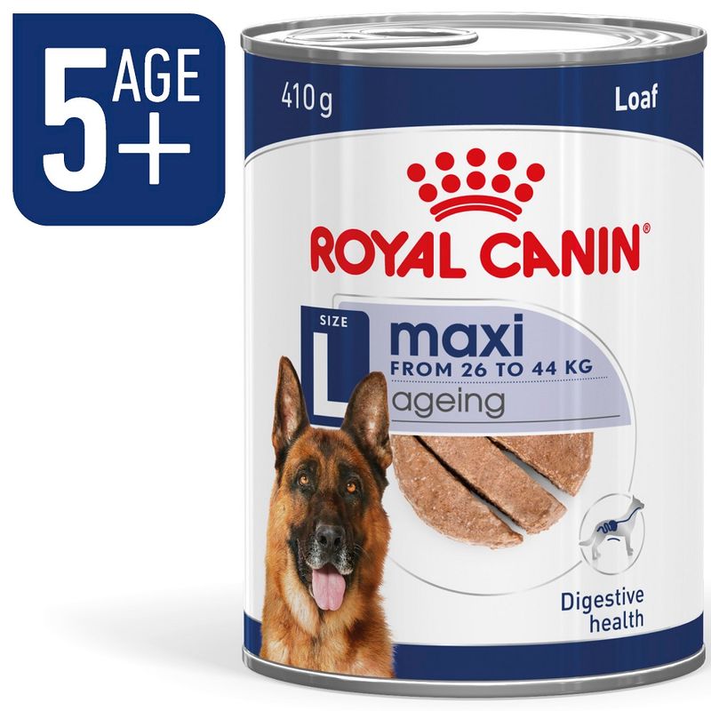 Royal Canin Maxi Ageing in Loaf || Royal Canin Size || view 1