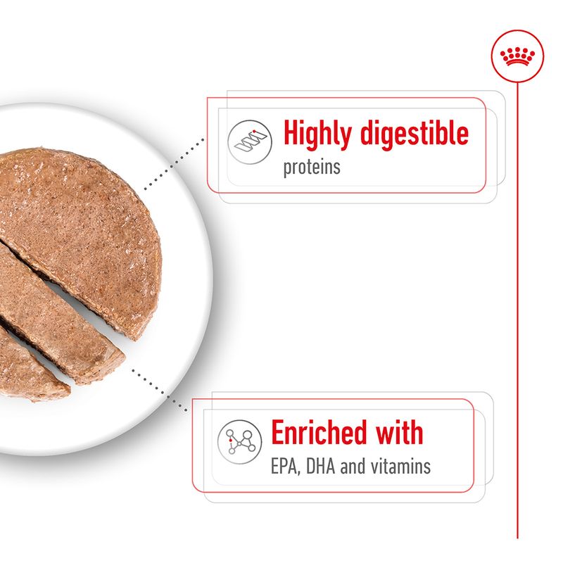 Royal Canin Maxi Ageing in Loaf || Royal Canin Size || view 4