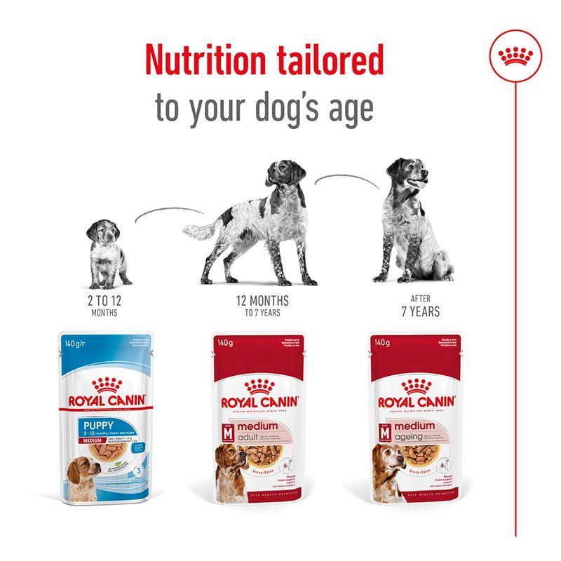 Royal Canin Medium Adult in Gravy || Royal Canin Size || view 6