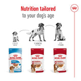 Royal Canin Medium Adult in Gravy || Royal Canin Size || view 6