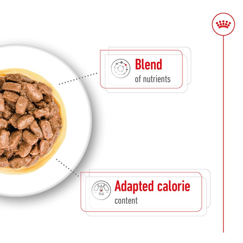 Royal Canin Mini Ageing in Gravy || Royal Canin Size || view 5