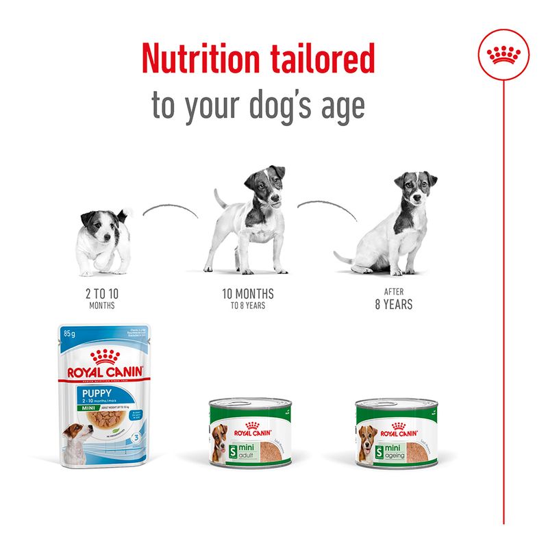 Royal Canin Mini Ageing in Loaf || Royal Canin Size || view 5