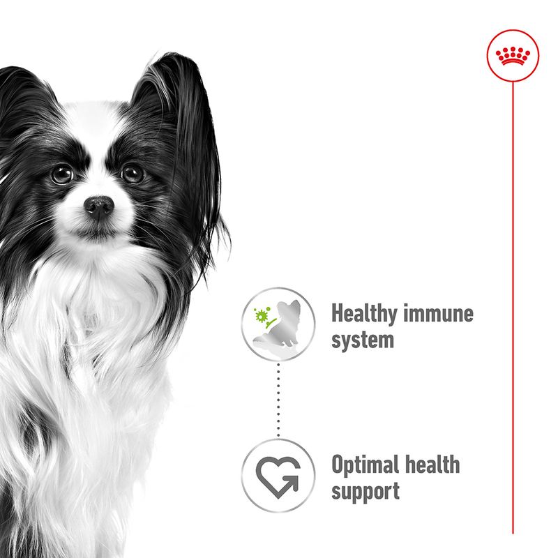 Royal Canin X-Small Adult in Gravy || Royal Canin Size || view 4