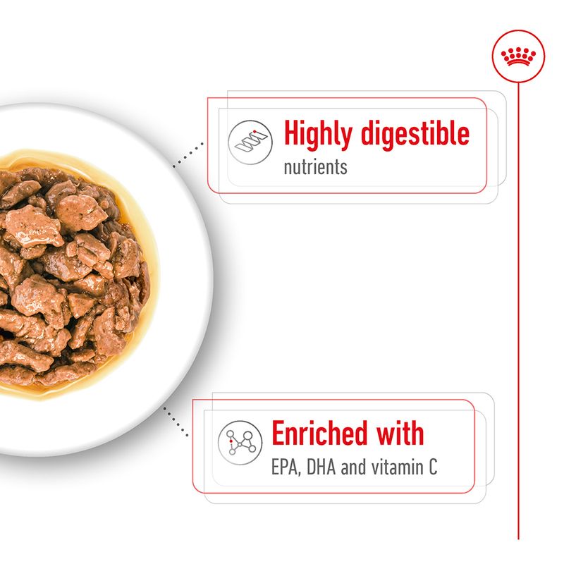 Royal Canin X-Small Adult in Gravy || Royal Canin Size || view 5