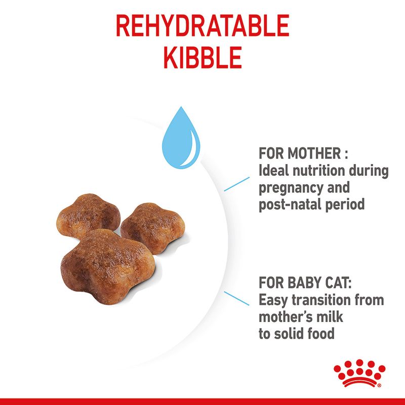 Royal Canin Mother & Babycat || undefined || view 6