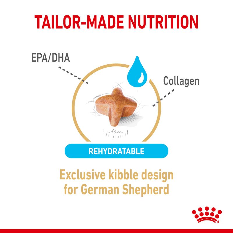 Royal Canin German Shepherd Adult 5+ || Royal Canin Breed || view 4