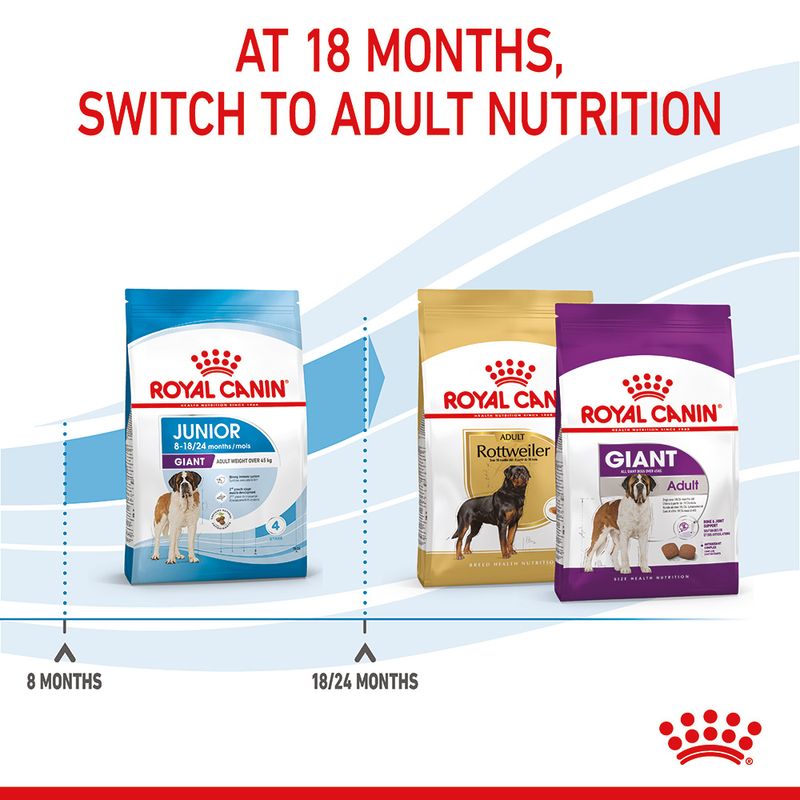 Royal Canin Giant Junior || Royal Canin Size || view 11
