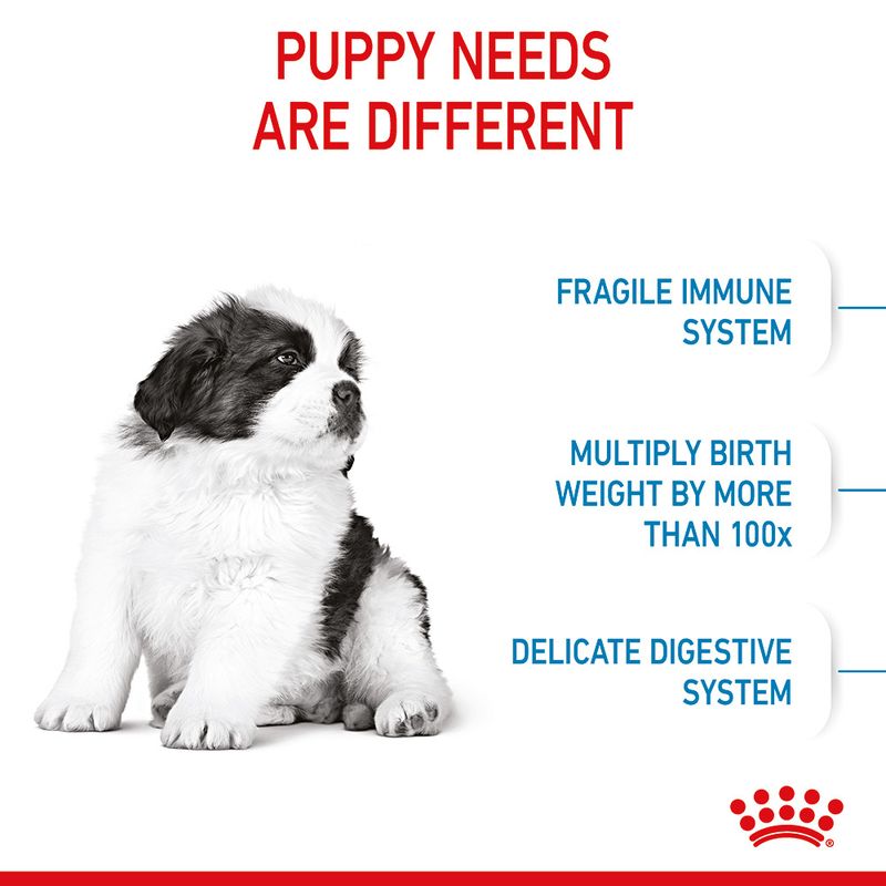 Royal Canin Giant Puppy || Royal Canin Size || view 6
