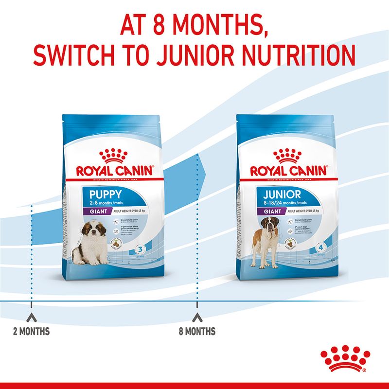Royal Canin Giant Puppy || Royal Canin Size || view 11