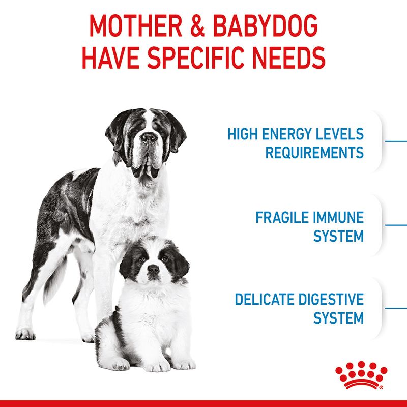 Royal Canin Giant Starter Mother & Babydog || Royal Canin Size || view 4