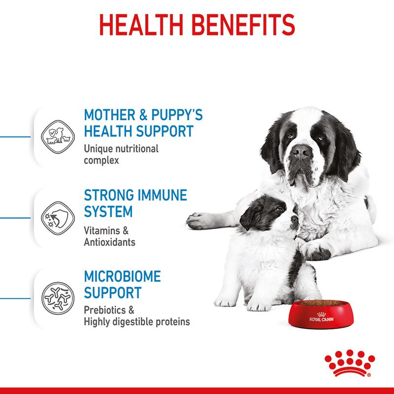 Royal Canin Giant Starter Mother & Babydog || Royal Canin Size || view 5