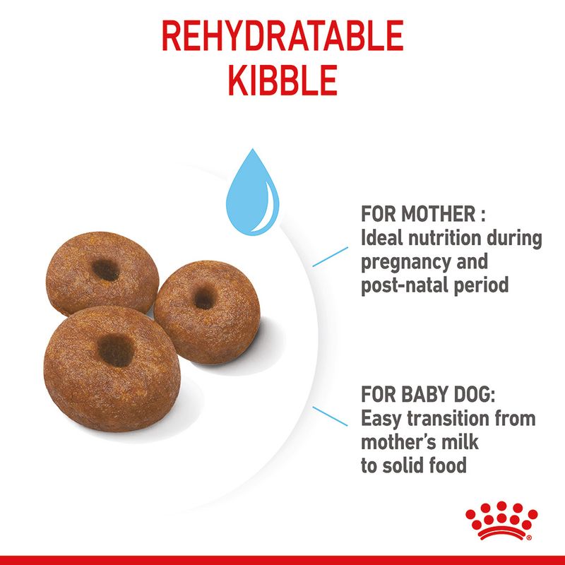 Royal Canin Giant Starter Mother & Babydog || Royal Canin Size || view 7