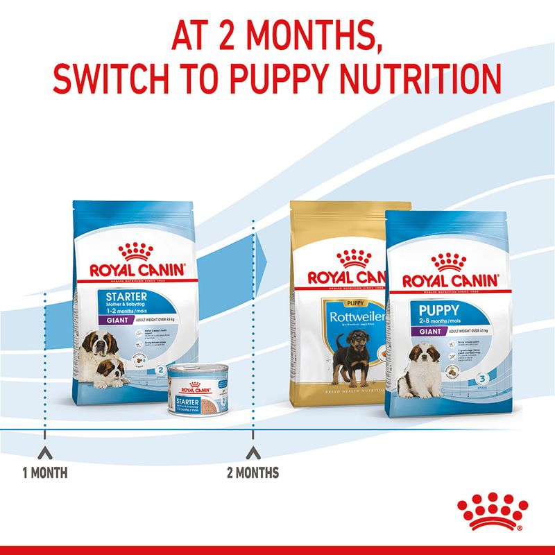 Royal Canin Giant Starter Mother & Babydog || Royal Canin Size || view 10