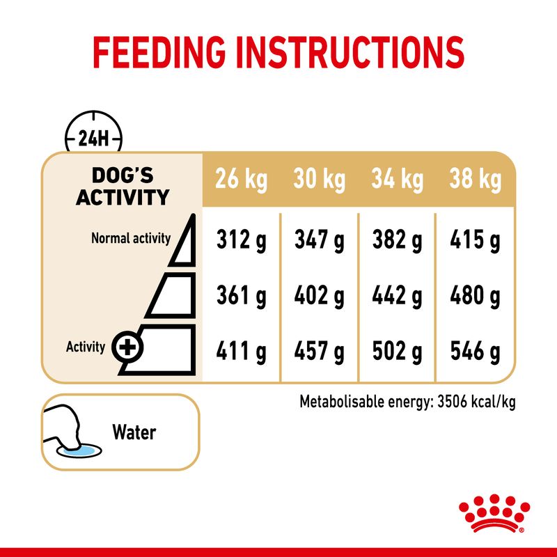 Royal Canin Labrador Retriever Adult 5+ || Royal Canin Breed || view 6