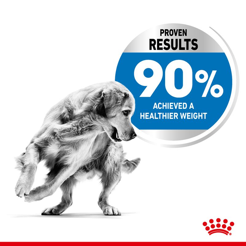 Royal Canin Maxi Light Weight Care || Royal Canin Care Nutrition || view 4